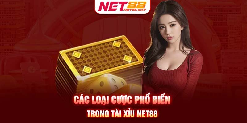 Các loại cược phổ biến trong Tài Xỉu Net88