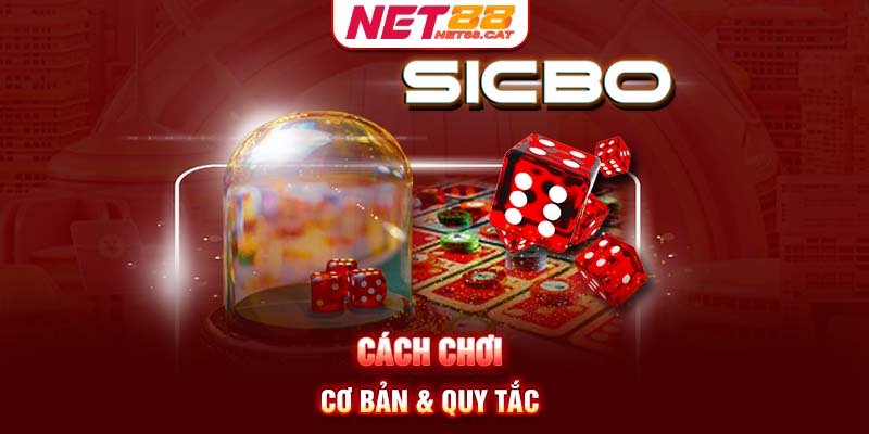 Cách chơi cơ bản & quy tắc