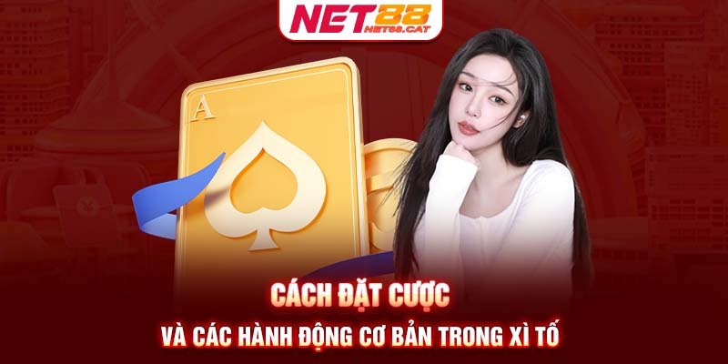 Cách đặt cược và các hành động cơ bản trong Xì Tố